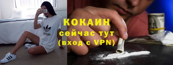 сатива Всеволожск