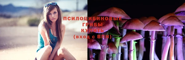 трава Абдулино