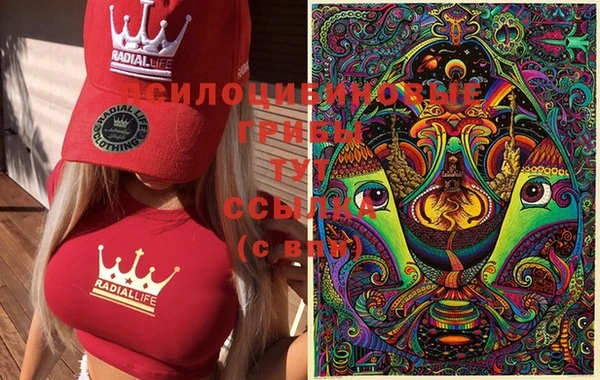 трава Абдулино