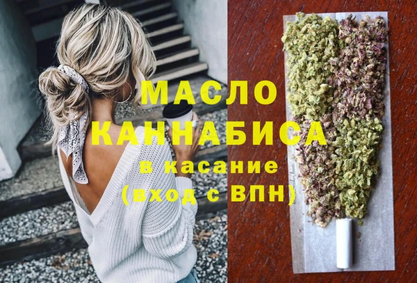 индика Вуктыл